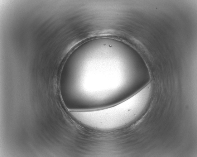 X0000066491457200603170911