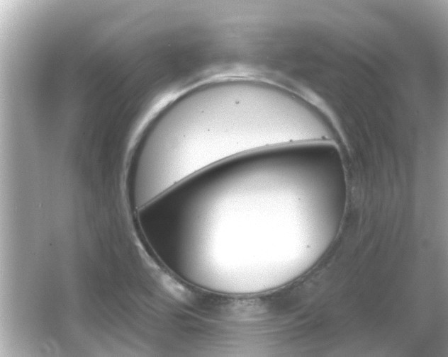 X0000066491464200603170911