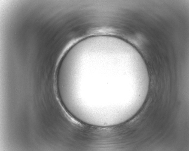 X0000066491470200603170911