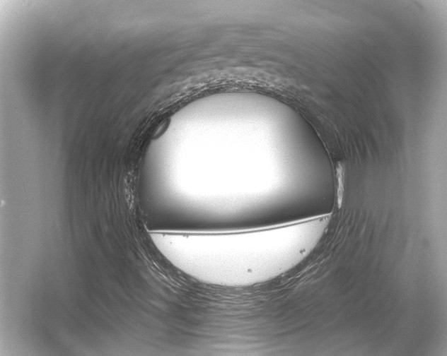 X0000066491491200603170910