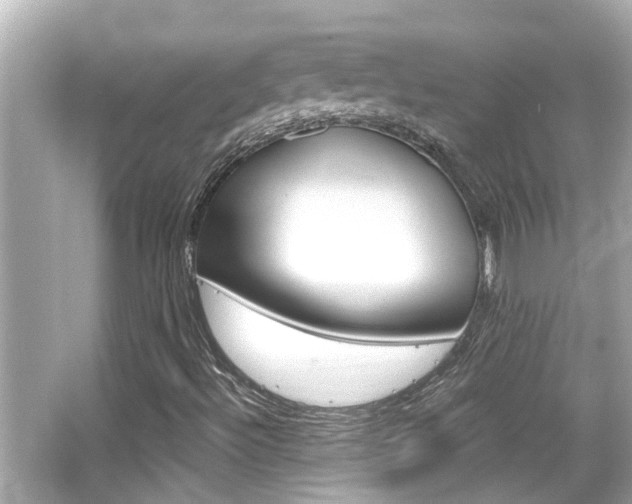 X0000066491492200603170910