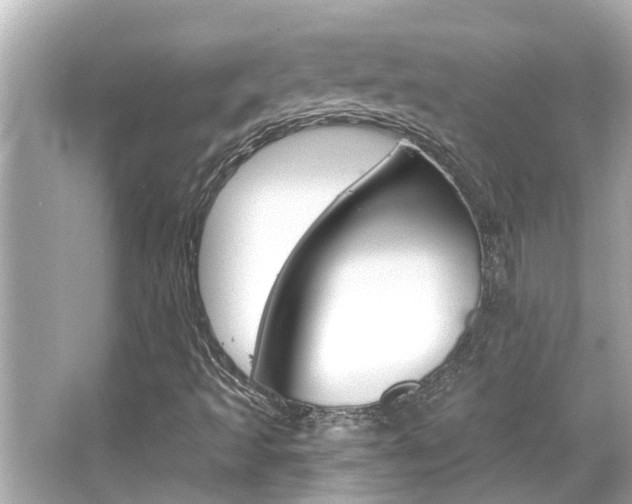 X0000066491493200603170910