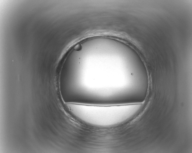 X0000066491501200603170910
