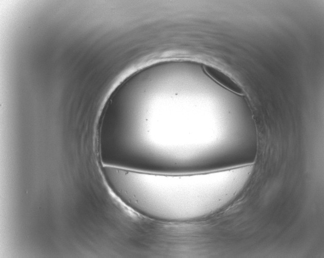 X0000066491527200603170911