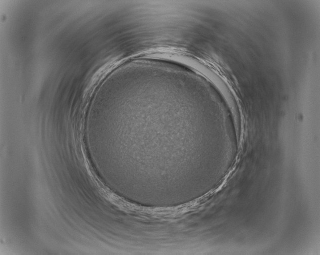 X0000066490001200603171135