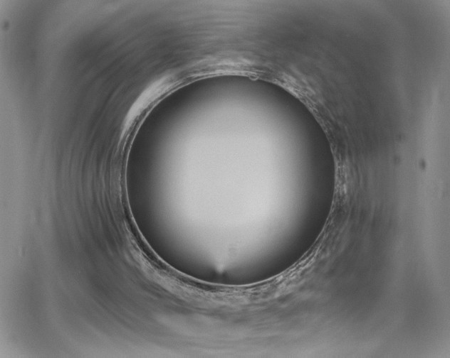 X0000066490004200603171135
