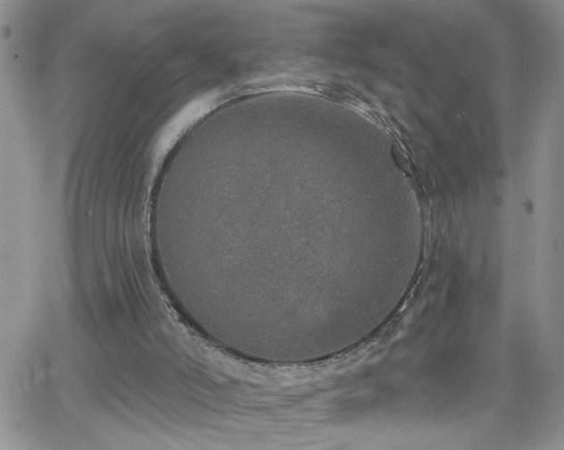 X0000066490006200603171135