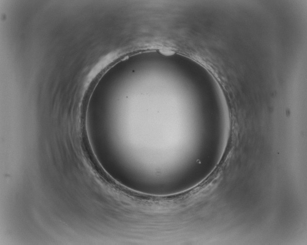 X0000066490008200603171135