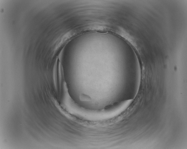 X0000066490013200603171134