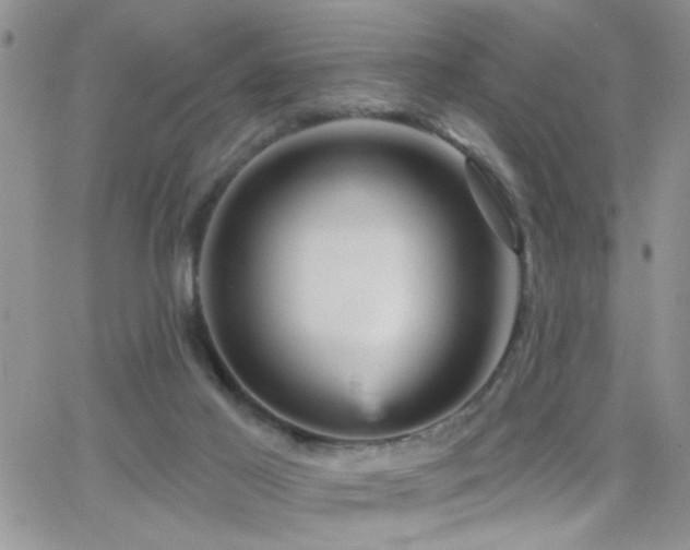 X0000066490021200603171134