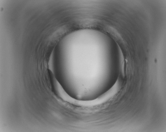 X0000066490025200603171134