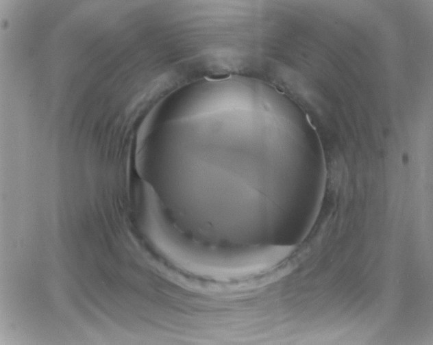X0000066490027200603171134