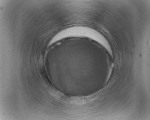 X0000066490029200603171134