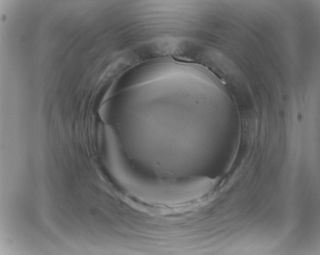 X0000066490035200603171134
