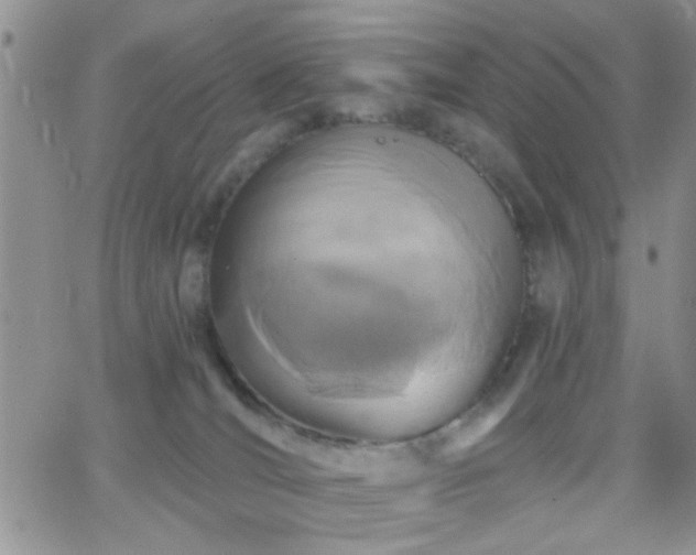 X0000066490036200603171134