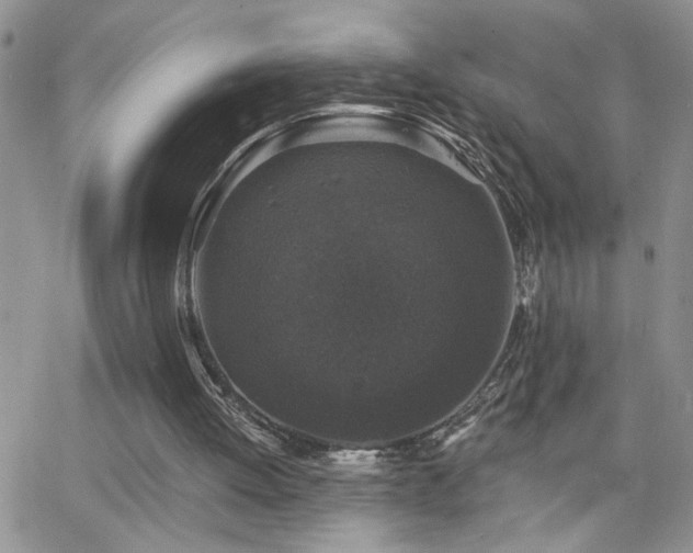 X0000066490052200603171133