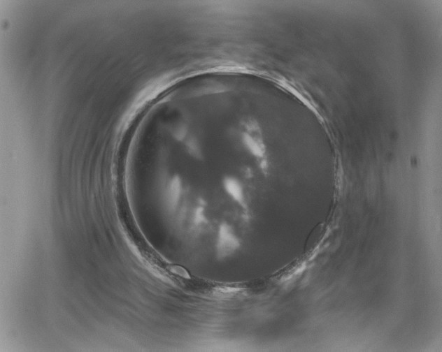 X0000066490055200603171133