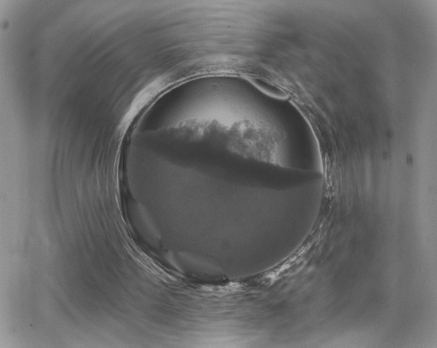 X0000066490099200603171133