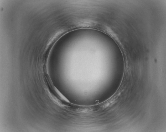 X0000066490106200603171133