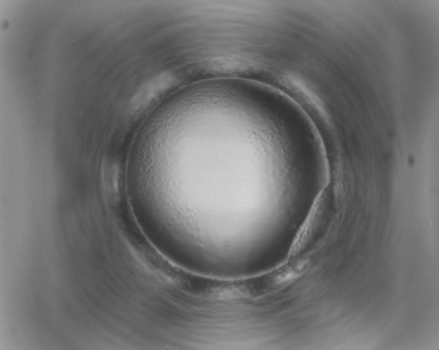 X0000066490115200603171133