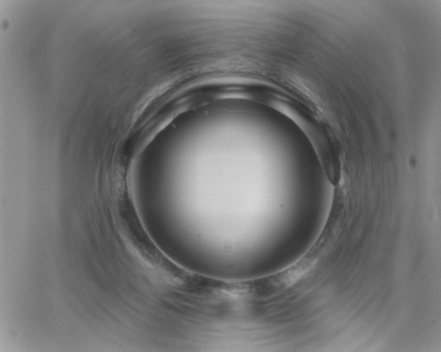 X0000066490164200603171132