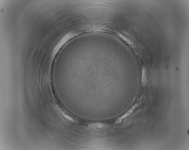 X0000066490195200603171131
