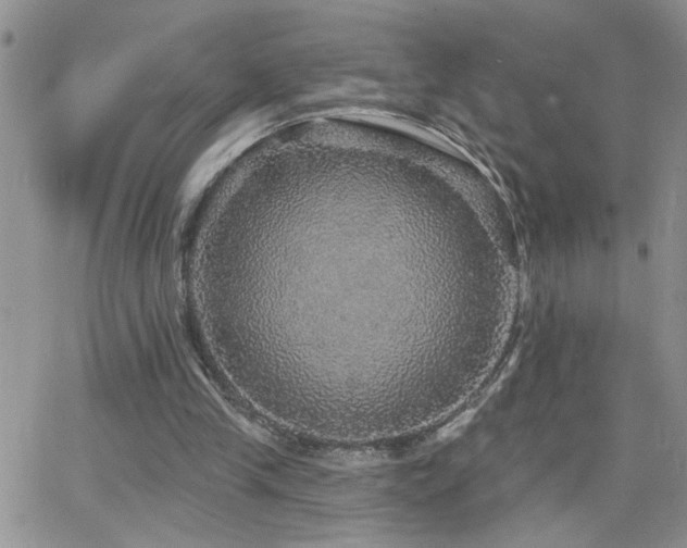 X0000066490245200603171130