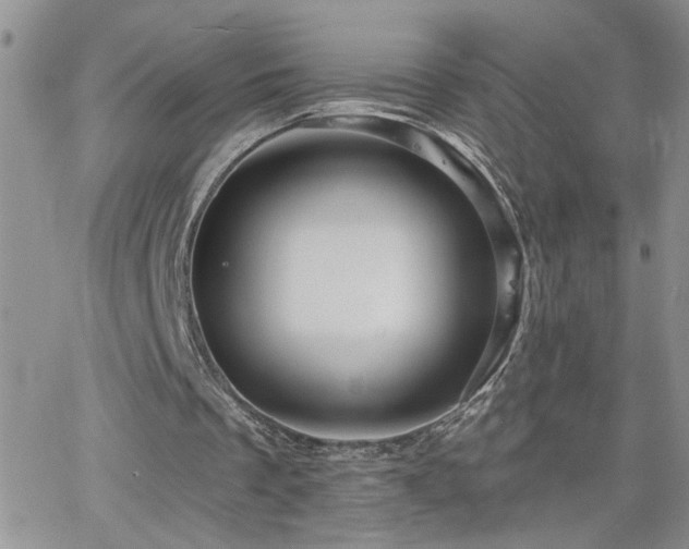 X0000066490289200603171130
