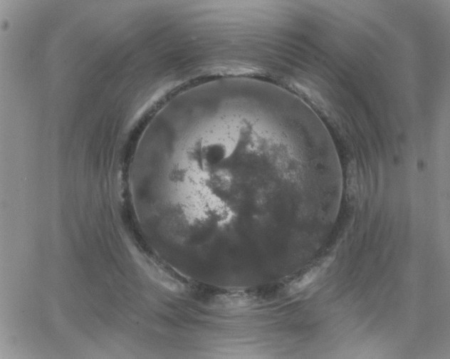 X0000066490351200603171129