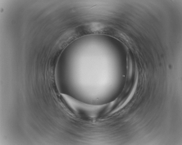 X0000066490421200603171128