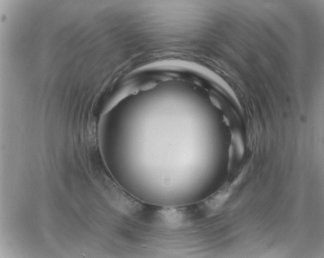 X0000066490425200603171128