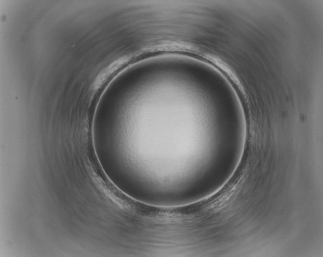 X0000066490437200603171127
