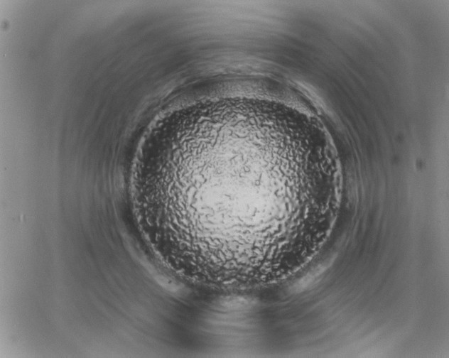 X0000066490453200603171127