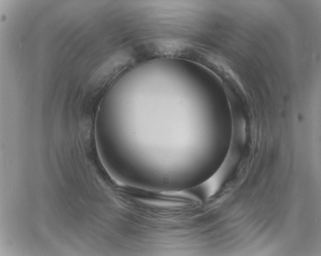 X0000066490505200603171126