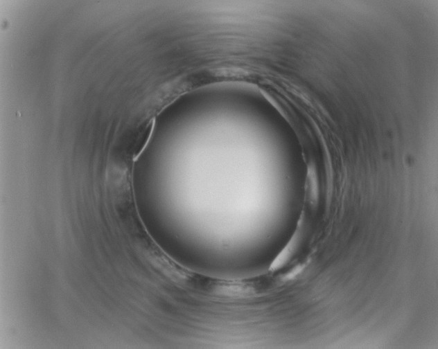 X0000066490521200603171126