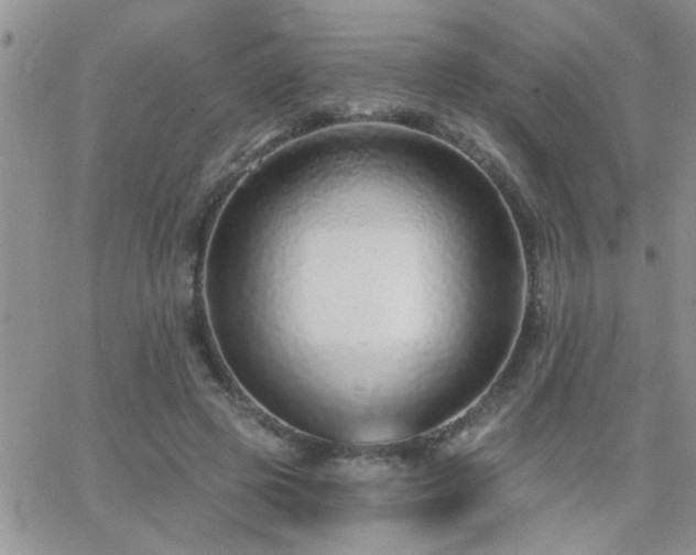 X0000066490545200603171126