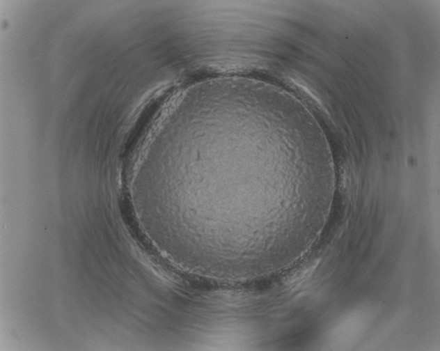 X0000066490733200603171122