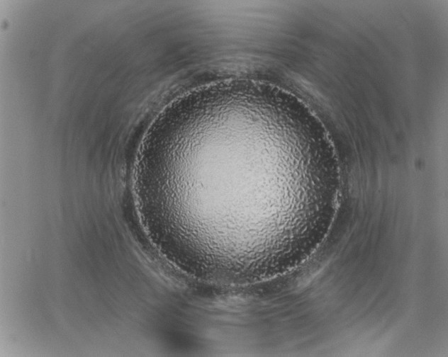 X0000066490737200603171122