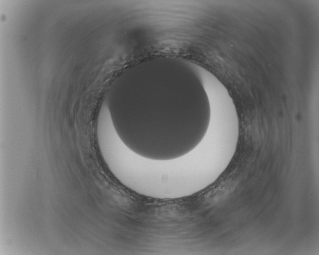X0000066490769200603171122