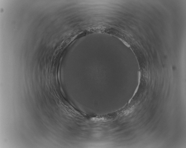 X0000066490818200603171121