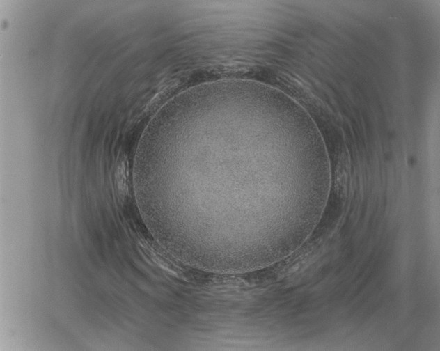 X0000066490866200603171121