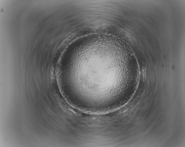 X0000066490963200603171119