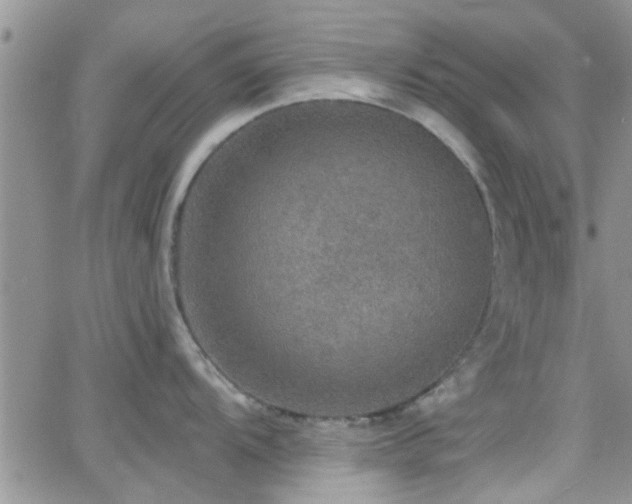 X0000066491104200603171117
