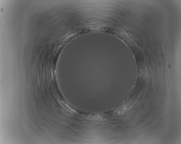 X0000066491106200603171116