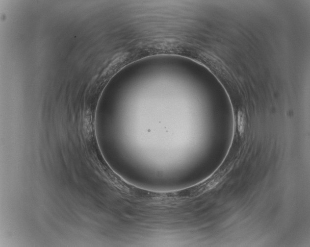 X0000066491107200603171116
