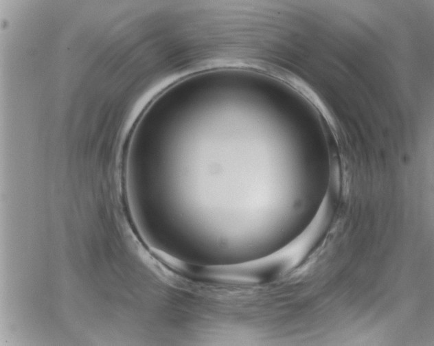 X0000066491148200603171117