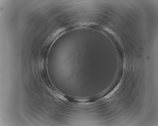 X0000066491161200603171116