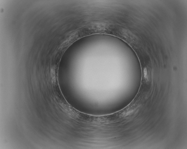 X0000066491203200603171114