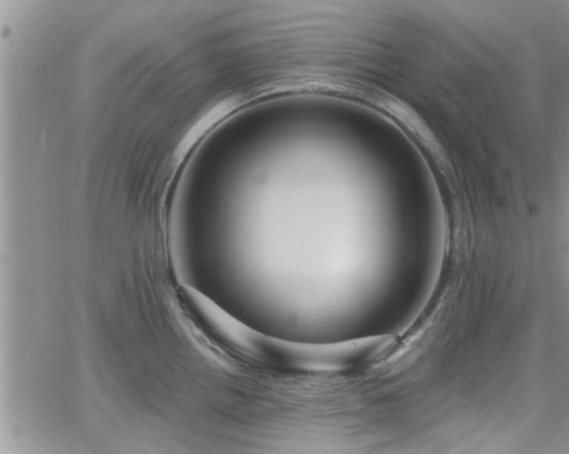 X0000066491242200603171115
