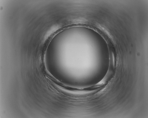 X0000066491261200603171114